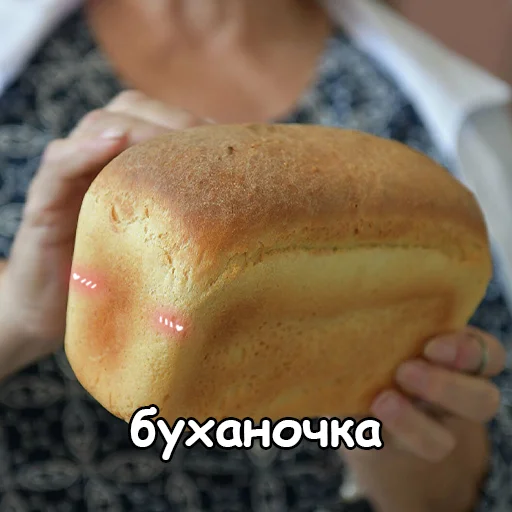 🍞 Стикер «оркад коханець циць» для Telegram