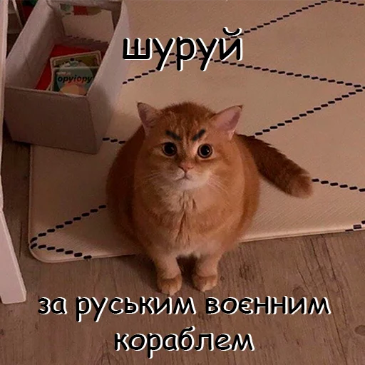 😡 Стикер «оркад коханець циць» для Telegram