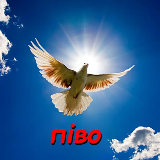 🍺 Стикер «оркад коханець циць» для Telegram