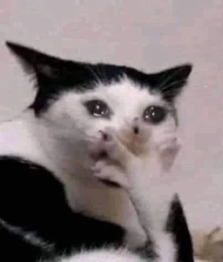 😥 Стикер «Orlmemes» для Telegram