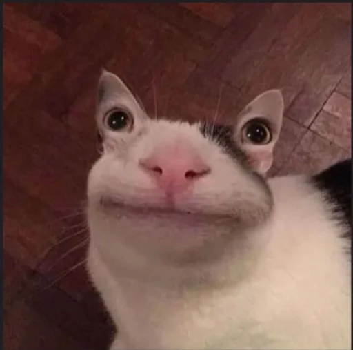 🥴 Стикер «Orlmemes» для Telegram