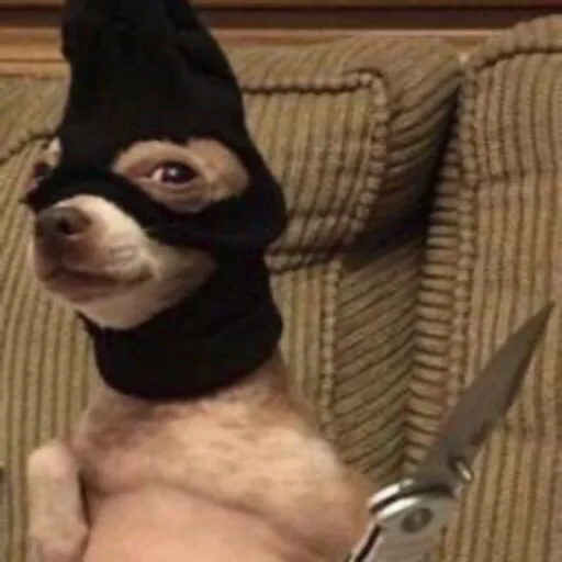 🔪 Стикер «Orlmemes» для Telegram