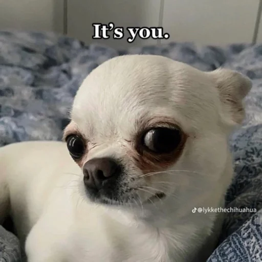 🧑 Стикер «Orlmemes» для Telegram