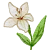 💐 Эмодзи «паломничество» для Telegram