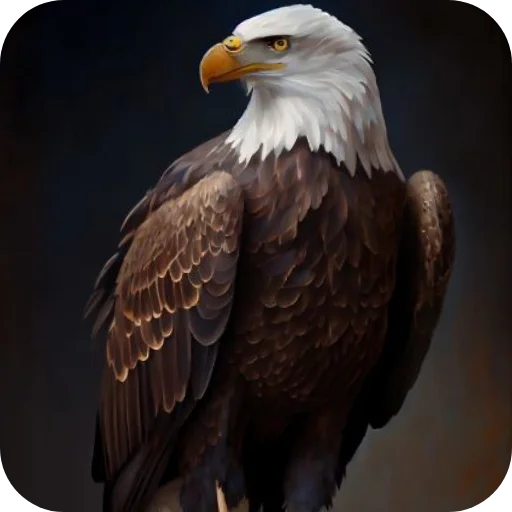 🔥 Стикер «Eagles» для Telegram