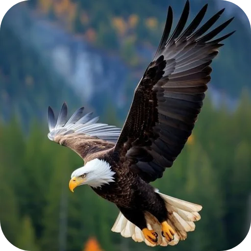 🦅 Стикер «Eagles» для Telegram