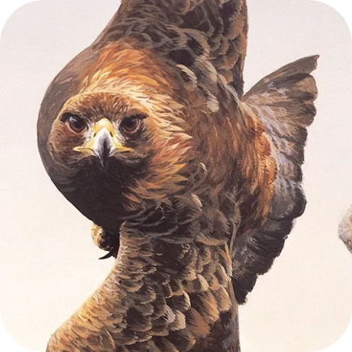 🔥 Стикер «Eagles» для Telegram