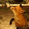 🤩 Эмодзи «⠀ ⠀ ⠀ Осенний вайб» для Telegram