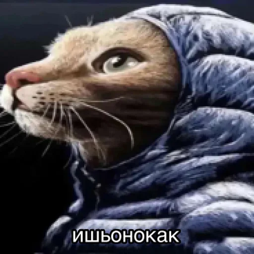 🥲 Стикер «Окак» для Telegram