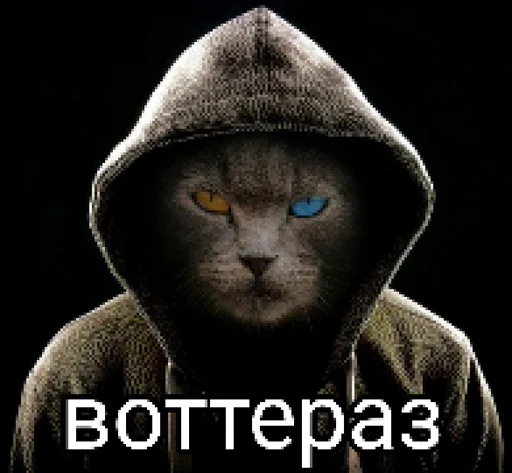 😎 Стикер «Окак» для Telegram