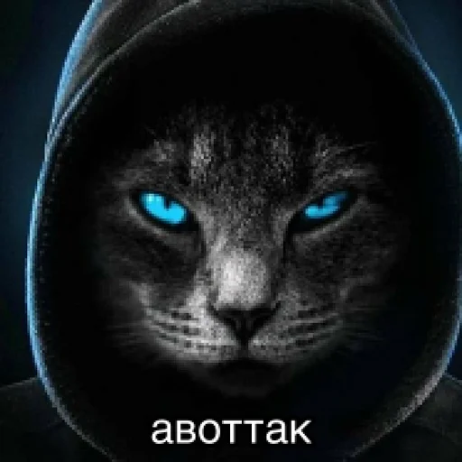 😇 Стикер «Окак» для Telegram