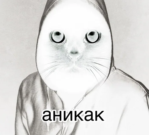 💀 Стикер «Окак» для Telegram