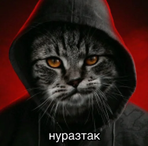 😈 Стикер «Окак» для Telegram