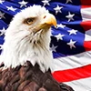 🇺🇸 Эмодзи «Осташко! Важное (статик пак)» для Telegram