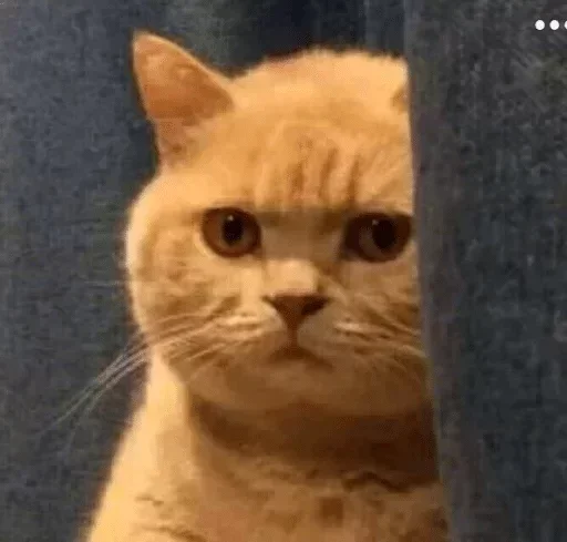 😖 Стикер «Caution» для Telegram