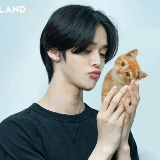 😘 Стикер «I-LAND to love» для Telegram