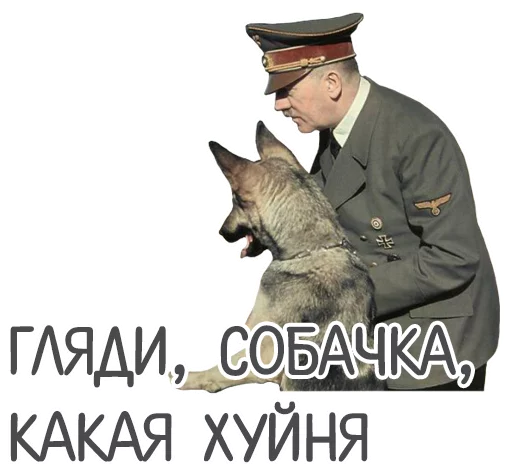 😐 Стикер «Отбитые» для Telegram