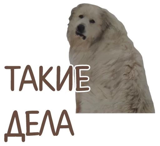😕 Стикер «Отбитые» для Telegram