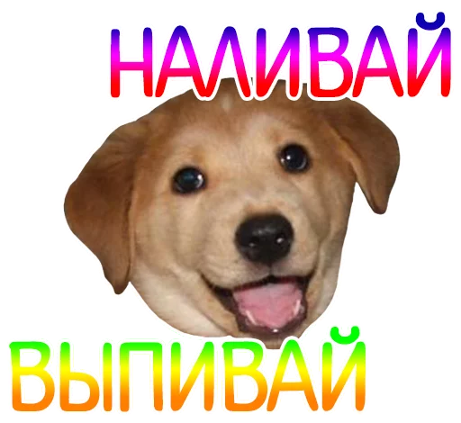 🐶 Стикер «Отбитые» для Telegram
