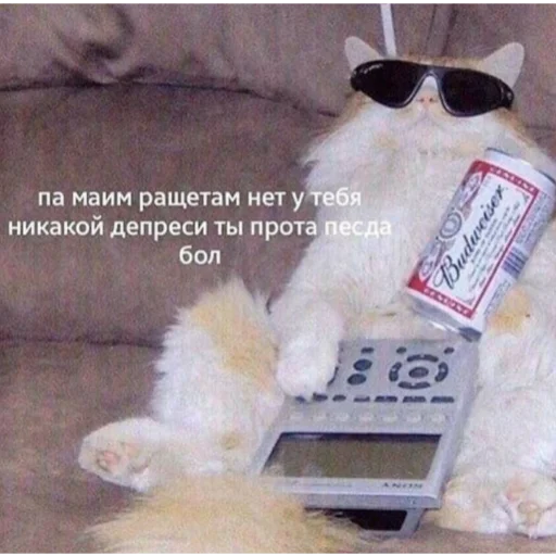 🤔 Стикер «Отборное мясо 2.0» для Telegram
