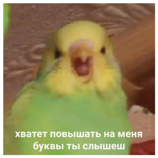 🙄 Стикер «Отборное мясо 2.0» для Telegram