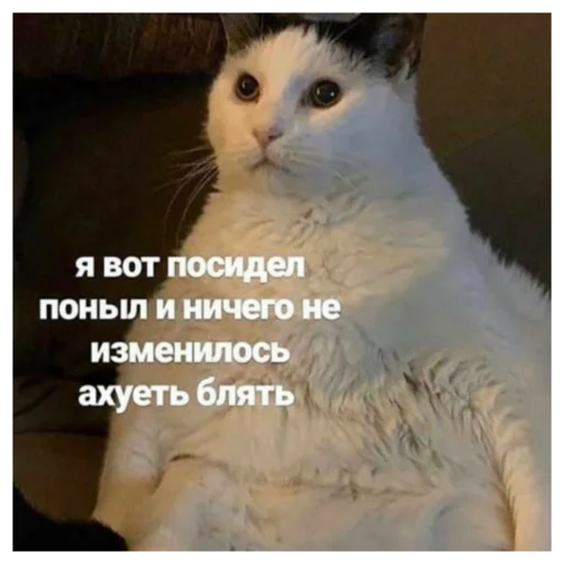 🤔 Стикер «Отборное мясо 2.0» для Telegram