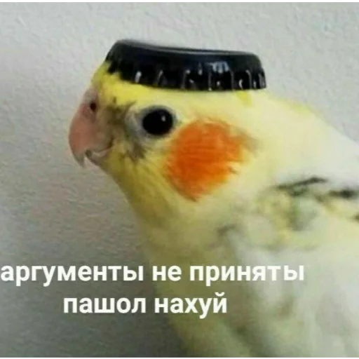 🙂 Стикер «Отборное мясо 2.0» для Telegram