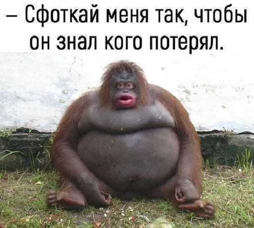 ☸ Стикер «other» для Telegram