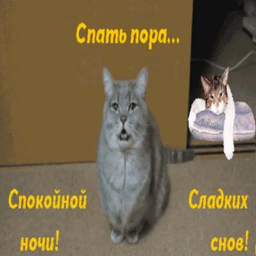 🌙 Стикер «Открытки из одноклассников» для Telegram
