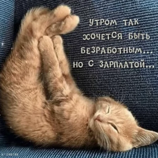 ☀️ Стикер «Открытки из одноклассников» для Telegram