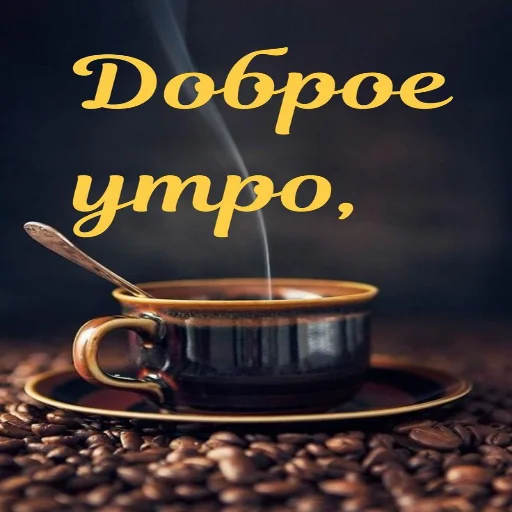 🌞 Стикер «Dobrogo» для Telegram