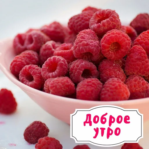 🌞 Стикер «Dobrogo» для Telegram