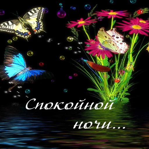 🌙 Стикер «Dobrogo» для Telegram