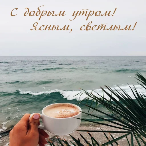 🌞 Стикер «Dobrogo» для Telegram