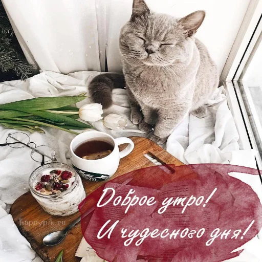 🌞 Стикер «Dobrogo» для Telegram