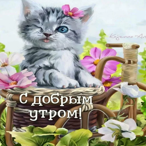 🌞 Стикер «Dobrogo» для Telegram