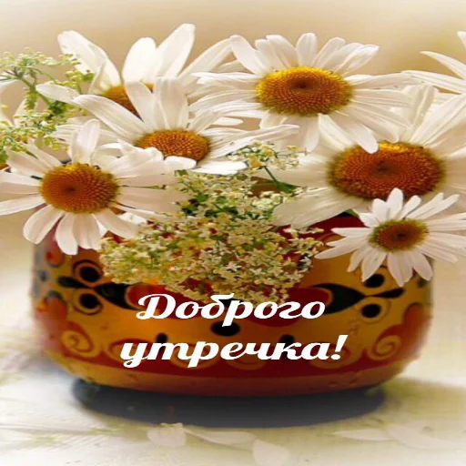 🌞 Стикер «Dobrogo» для Telegram