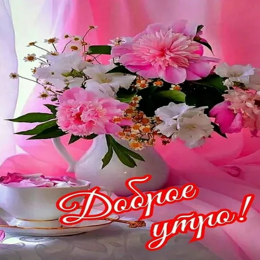 🌞 Стикер «Dobrogo» для Telegram