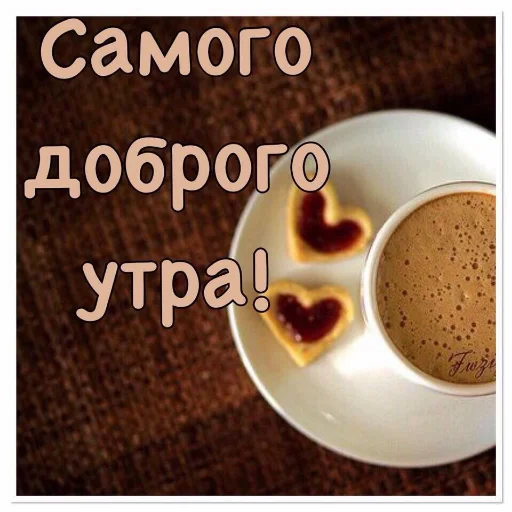 🌞 Стикер «Dobrogo» для Telegram