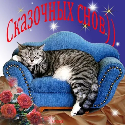 🌛 Стикер «Dobrogo» для Telegram