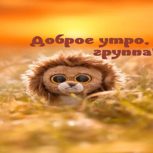🌞 Стикер «Dobrogo» для Telegram