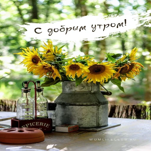🌞 Стикер «Dobrogo» для Telegram