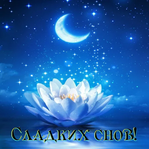 🌙 Стикер «Dobrogo» для Telegram