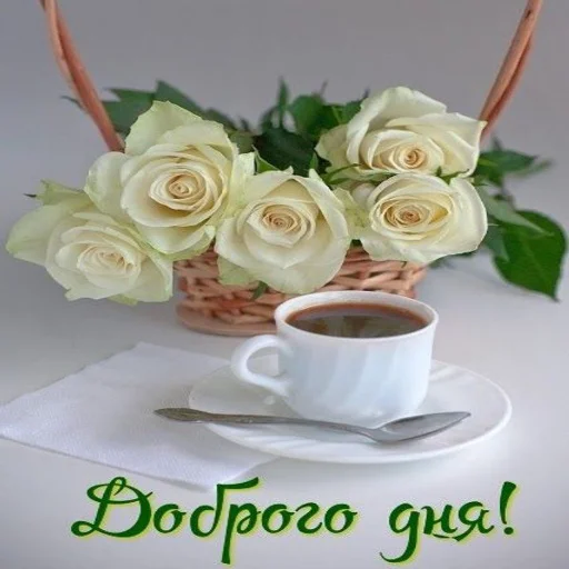🌞 Стикер «Dobrogo» для Telegram