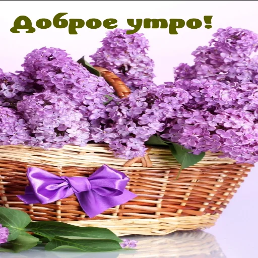 🌞 Стикер «Dobrogo» для Telegram