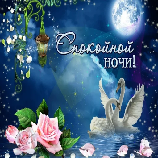 🌛 Стикер «Dobrogo» для Telegram