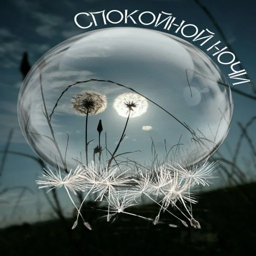 🌙 Стикер «Dobrogo» для Telegram