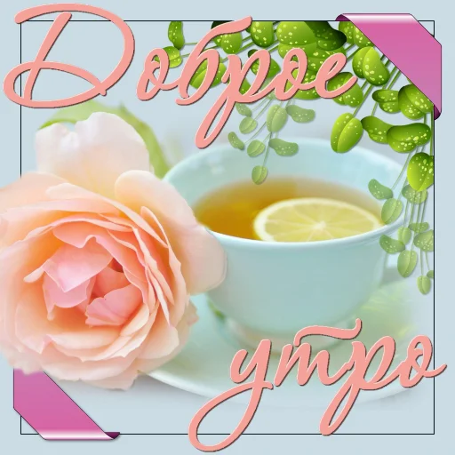 🌞 Стикер «Dobrogo» для Telegram