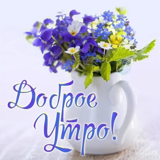 🌞 Стикер «Dobrogo» для Telegram
