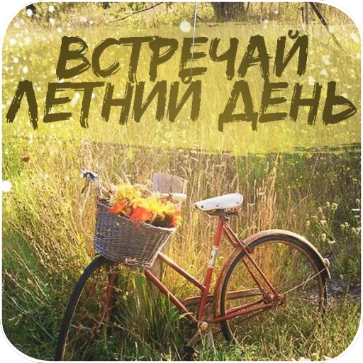 🚗 Стикер «Открытки» для Telegram